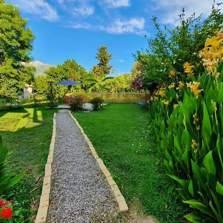 Aristotelis Studios Nydri  Dış mekan fotoğraf